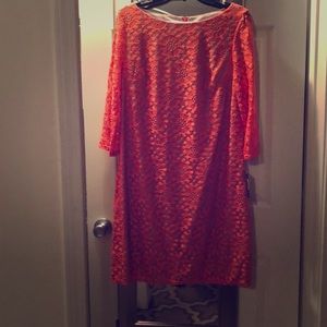 Lace Dress semi-casual, brand new